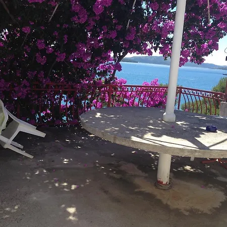 Ana Daire Trogir