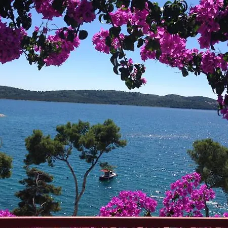 Ana Daire Trogir