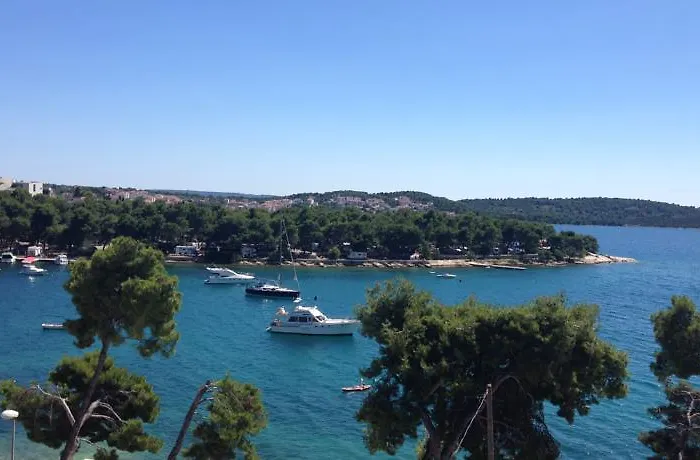 Ana Trogir