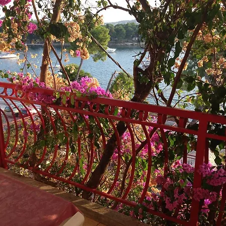 Ana Trogir