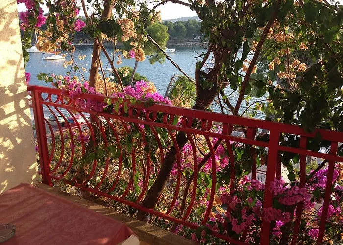 Ana Trogir