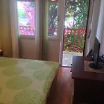 Ana * Τρογκίρ