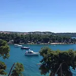 Ana Τρογκίρ