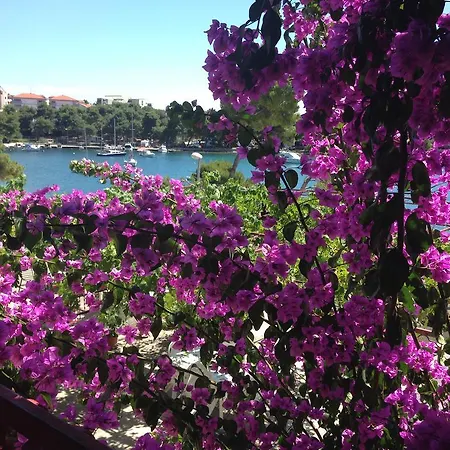 Ana * Trogir