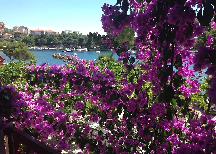 Ana * Trogir